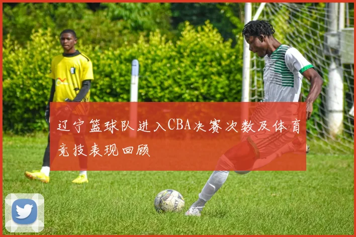 辽宁篮球队进入CBA决赛次数及体育竞技表现回顾