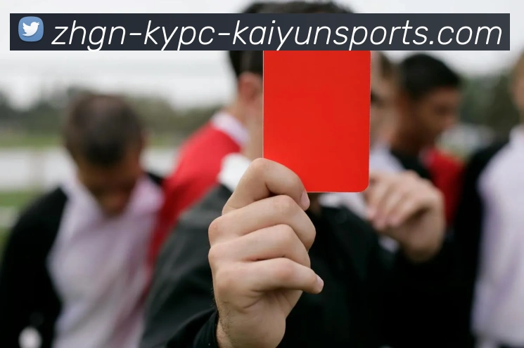 开云体育服务体系